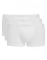 Colour: Whites