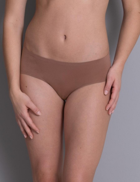 Anita Essentials Hipster Brief 1342