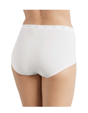 Sloggi Ladies Basic+ Premium Comfort Cotton Rich Maxi Brief Panty (4 Pack)