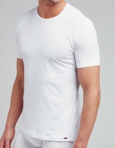 Modern Stretch T-Shirt 22451812